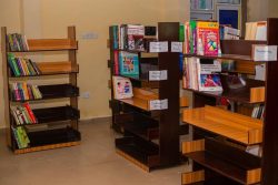 Gallery fb img 1771314854678