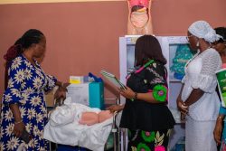 Gallery fb img 1771314862660