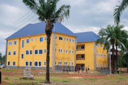 Gallery fb img 1771314881293