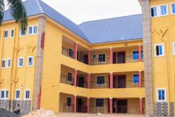 Gallery fb img 1771314902364