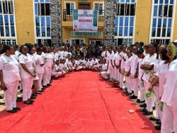 Gallery img 20250317 wa0110