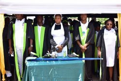 Gallery img 20260221 wa0031